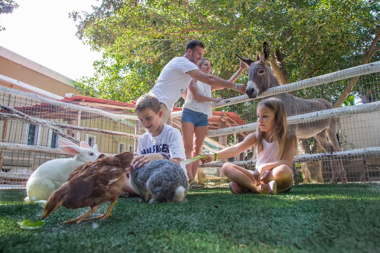 Sandos Caracol Eco Resort All Inclusive (Adults Only) Playa del Carmen Esterno foto Children with animals at the petting zoo