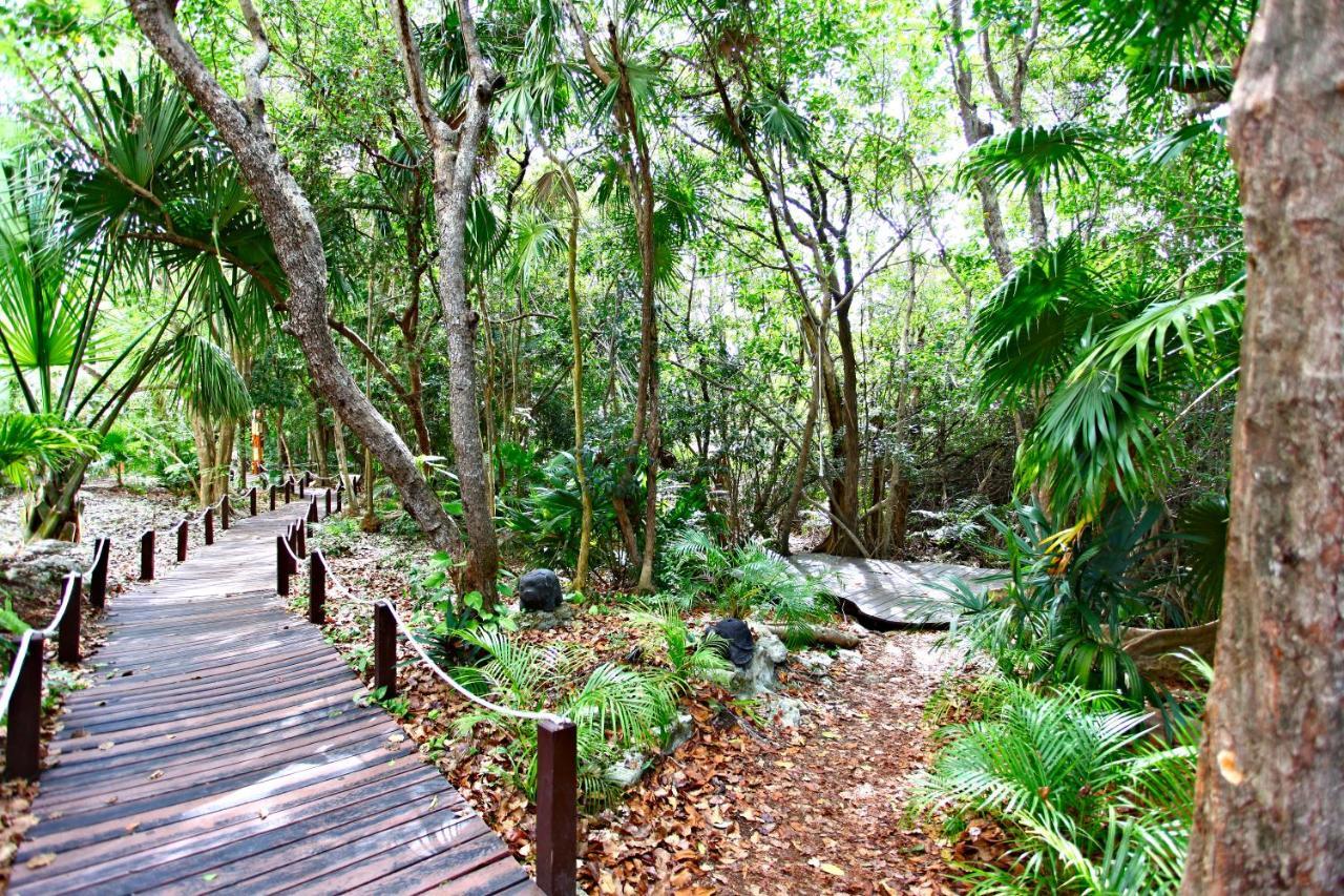 Sandos Caracol Eco Resort All Inclusive (Adults Only) Playa del Carmen Esterno foto Jungle at Xel-Há